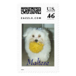 Maltese postage