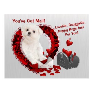Maltese Pup You've Got Mail Puppy Hugs Valentine Postcard