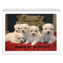 Maltese Puppies Wall Calendar