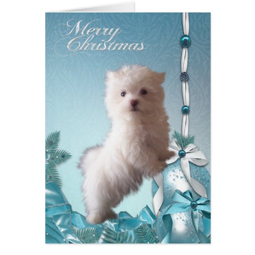 Maltese Christmas Cards, Maltese Christmas Card Templates, Postage