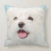 Maltese Puppy Pillow