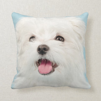 maltese pillow