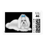 Maltese Puppy Postage postage