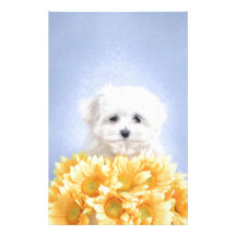 Maltese puppy stationery