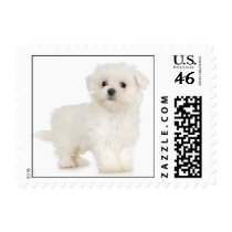 Maltese Stamp (SMALL)
