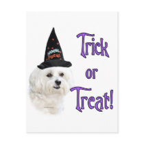 Maltese Trick postcards