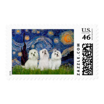 Maltese Trio - Starry Night Postage