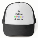 Maltese Walks Design Maltese Walks Design