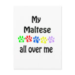 Maltese Walks Design Maltese Walks Design
