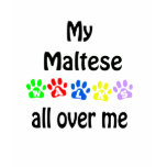 Maltese Walks Design Maltese Walks Design