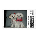 Malteses postage