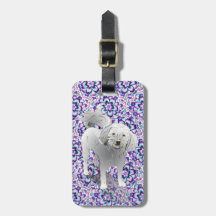 Maltipoo Cute Little White Dog Tags For Luggage