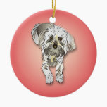 Maltipoo in Pink ornaments