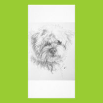 Maltipoo photo cards