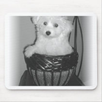 MaltiPoo Products mousepads by dcand001 MaltiPoo Products mousepads