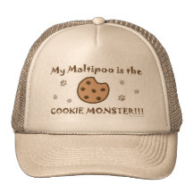 Maltipoo Trucker Hats