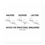 Maltose Sucrose Lactose Structural Similarities Square Sticker