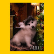 Malumut Christmas Angel posters