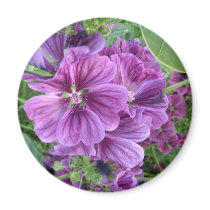 MALVA FLOWERS magnets