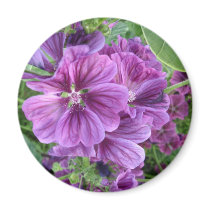 MALVA FLOWERS magnets