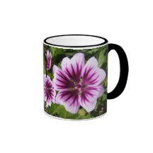Malva flowers ~ mug