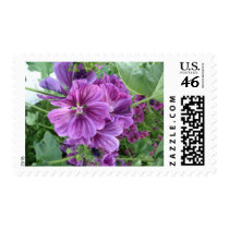 MALVA FLOWERS postage