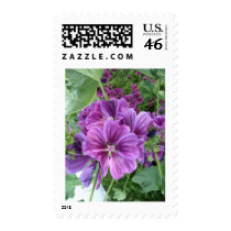 MALVA FLOWERS postage