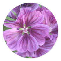 MALVA FLOWERS stickers