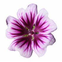 Malva ~ ornament photo sculptures