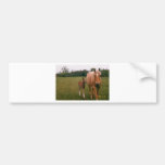 Mama and baby horse bumper sticker