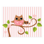 Mama and Baby Owls Post Cards