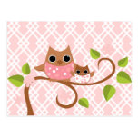 Mama and Baby Owls Postcards