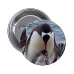 Mama and Baby Penguin Button