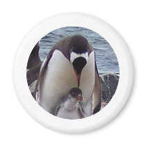 Mama and Baby Penguin Fridge Magnets