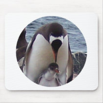 Mama and Baby Penguin mousepads by KevOzDotCom Mama and Baby Penguin mousepads