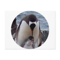 Mama and Baby Penguin postcards by KevOzDotCom Mama and Baby Penguin postcards