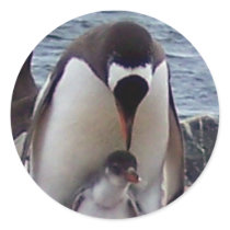 Mama and Baby Penguin stickers by KevOzDotCom Mama and Baby Penguin stickers