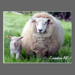 Mama and Baby postcards