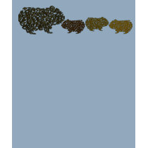 Mama & Babies - Earthy Tees