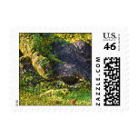 Mama & Baby Gators Postage Stamp