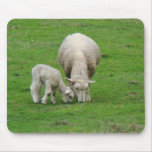 Mama & Baby Sheep Mousepad