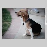 Mama Beagle cards