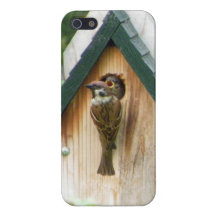 Mama bird  feeding baby sparrow IPhone 5 Case