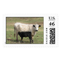 Mama Cow postage