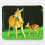 Mama Deer & Baby Fawn Mouse Pad