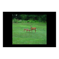 Mama doe & babies posters