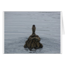 Momma+duck+and+babies
