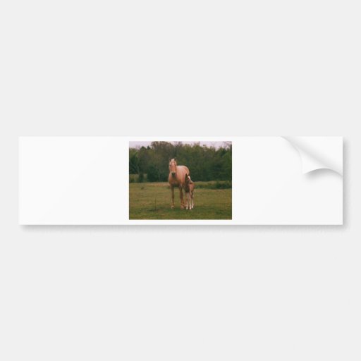 Mama horse and baby horse bumper stickers