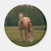 Mama horse and baby horse magnets