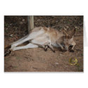 Mama Kangaroo with Joey in Pouch cards